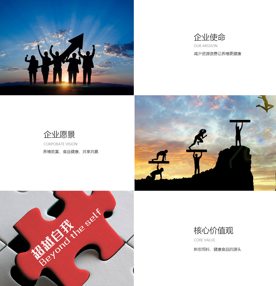 122cc太阳集成游戏官方网站(图1)
